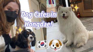 Shopping and Dog Cafes in Hongdae, Seoul, South Korea! (vlog 26)