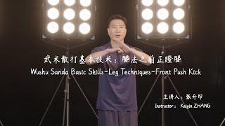 Wushu Sanda Basic Skills-Leg Techniques-Front Push Kick