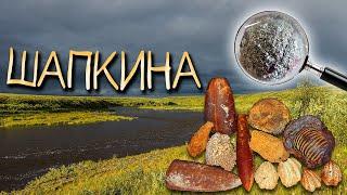 Шапкина: Пробный заплыв, окаменелости, рыбалка