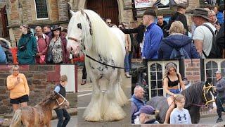 Most Beautiful Horse at Appleby Horse Fair Women Riders on Carriage Cart