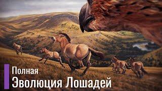 Реальная Эволюция Лошадей. Первобытные лошади