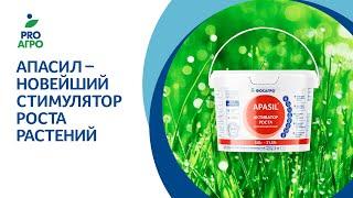 ApaSil  – новейший стимулятор роста растений.