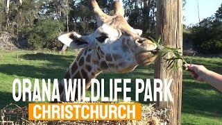 Christchurch Series: Orana Wildlife Park