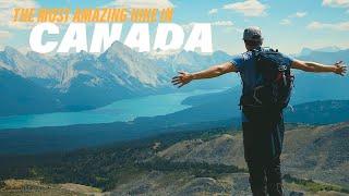 The Most Amazing Day Hike In Jasper National Park | Bald Hills |  Outstanding Nature of Canada 