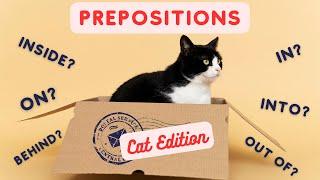 Prepositions Cat Edition - ESL GAME - English Grammar