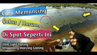 Mancing Gabus (Snakehead Fish) Eps19 - Ultra Light Fishing Kukar