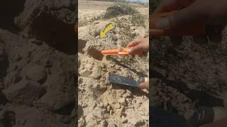 Treasure hunt using metal detector #treasurehunt #metaldetecting #shortsfeed #findgold #viralvideo