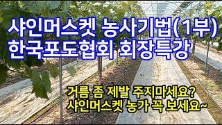 샤인머스켓농사 법칙(1부) /현장실습교육