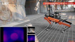 LimX Dynamics' Quadruped Robot Takes on the Complex Terrain of a Steel Factory