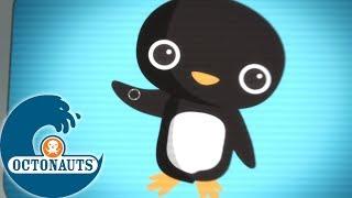 Octonauts - Le chant des pingouins | Aventures Sous Les Mers