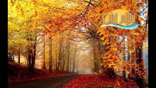 AUTUMN بهترین روش یادگیری زبان انگلیسی