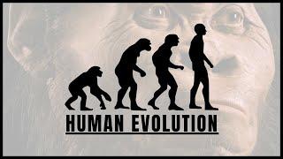 Human Evolution - on an epic journey