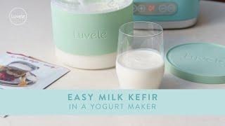 Easy homemade Kefir made in a Yogurt Maker