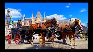 Netherlands & Belgium Travel Video - By Mahmoud Barakat