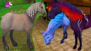 Buying New Magic Color Change Horses Star Stable Online Horse Roleplay Video