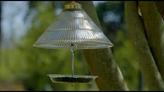 Repurpose Project: Bird Feeder