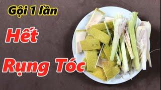 Cách chữa rụng tóc, hói tóc, kích thích tóc mọc nhanh đơn giản tại nhà sau 1 tuần sử dụng