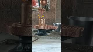 Mahadev ️#shorts #music #love #kedarnath #mahadiv #shortvideos #trending