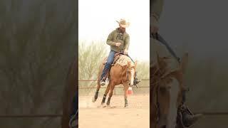 Is your horse Comfortable circling "At Speed?" Check out Reiningmasterclass.com for help with this!