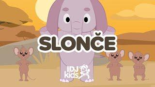 SLONICI - SLONCE // NAJLEPSE DECIJE PESME // MARIJA MIKIC & @IDJKids