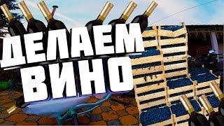 Делаем домашнее вино из темного винограда. [Из жизни винокура#3]