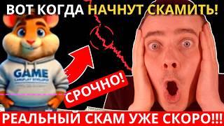 ️ HAMSTER KOMBAT  ГЛАВНЫЙ СКАМ НА ПОДХОДЕ!  НАСТОЯЩЕГО СКАМА ВЕКА ВЫ ЕЩЕ НЕ ВИДЕЛИ! УЖЕ СКОРО...!