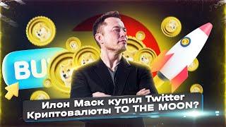 Илон Маск КУПИЛ Twitter! Как это повлияет на мир криптовалют?