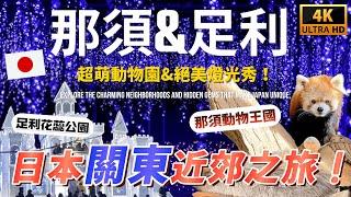 冬季日本除了溫泉和美食！ 這些療癒景點超適合親子旅行 ｜遊日本 那須 足利