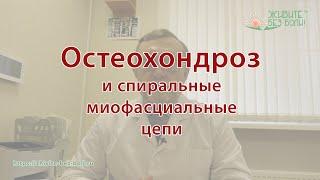 Остеохондроз и мышечные цепи