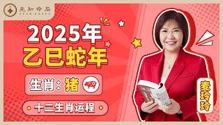 麦玲玲师傅详解2025蛇年运程：生肖猪！事业运、财运、人际关系、爱情、婚姻、健康全解析！