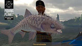 Fishing Planet Folge 935 Erster Monsterfisch Dornenschneider am Fluss Dnipro