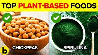 Top 12 Plant-Based Protein Foods!