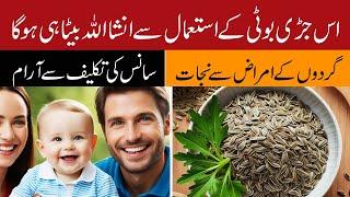 Insha Allah Baita Hi Ho Ga: Discover The Health Benefits Of Chicory: The Magic Of Kasni Seeds