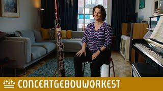 Bassoonist Helma van den Brink | Concertgebouworkest