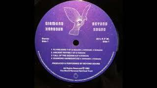 Beyond Sound – Diamond Harbour :  Rock, Pop, Folk, World, & Country, Folk, Psychedelic Rock 1982