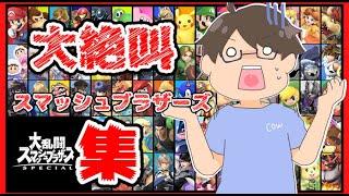 【音量注意】ココボールの大絶叫スマッシュブラザーズ集