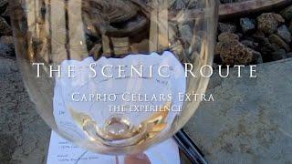 Caprio Cellars The Experience with Crushed Grape Chronicles