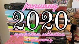 Current Eyeshadow Palette Collection January 2020 | Connor Krystyn