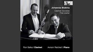 5 Lieder, Op. 105 (Excerpts Arr. for Clarinet & Piano) : No. 4, Auf dem Kirchhofe