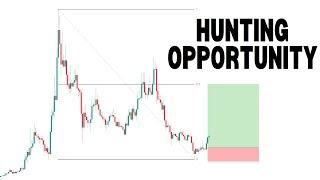 Hunting Opportunity In The Altcoin Summer Silly Season