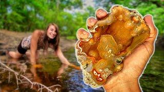 NEW DISCOVERY! Finding and CUTTING Incredible Alligator Agates from a Florida Swamp on a Rock Saw!