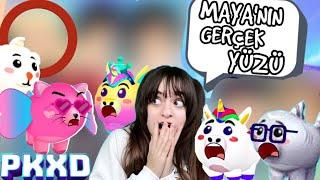 PK XD PETLERİMİN GERÇEK YÜZLERİNİ YAPTIM | I MADE REAL FACES OF MY PK XD PETS | ÖZGÜŞ TV