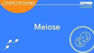 Celdeling | Meiose | Creatief met Biologie