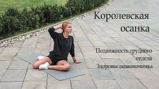 Улучшаем подвижность грудного отдела | здоровая спина и красивая осанка