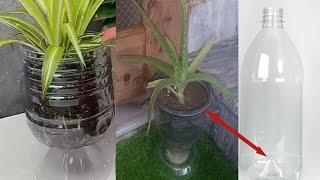 Amazing DIY Flower Pot made with Plastic Bottles Gardening tips and ideas