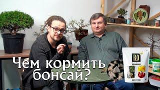 Зачем нужны удобрения деревьям бонсай? / Чем кормить бонсай? @Studio.Bonsai