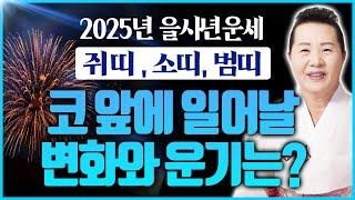 2025년 을사년 쥐띠 소띠 범띠 운세 대운의 문이 활짝 열렸다! 소원성취까지 이뤄 신바람이 절로 난다! 띠별운세 총정리 1탄