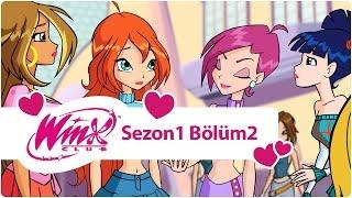 Winx Club - Sezon 1 Bölüm 2 - Magix'e hoşgeldiniz