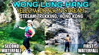 WONG LUNG HANG黄龍坑道 | YELLOW DRAGON STREAM TREKKING HK | DIFFICULT HIKE(How to get there, highlights)