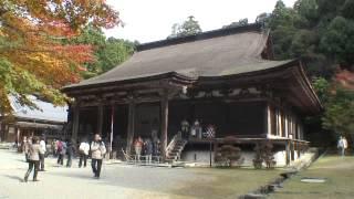 滋賀県　湖東三山　西明寺の紅葉